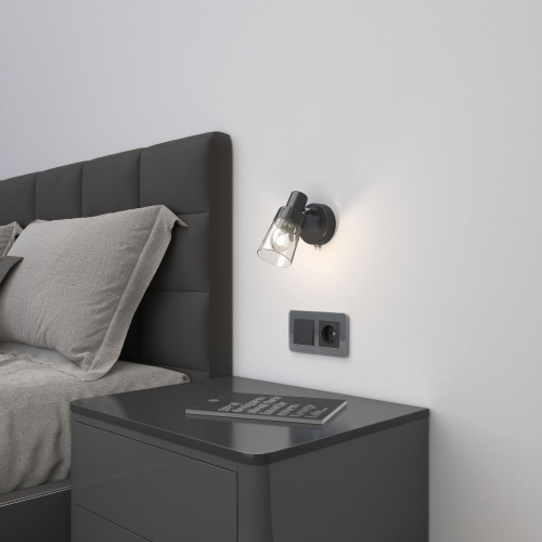 Рамка из стекла на 2 поста Elite графит W0022440 фото 3 Рамка из стекла на 2 поста Elite графит W0022440 фото 3