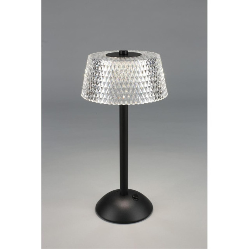 Настольная лампа OML-40104-01 фото 12