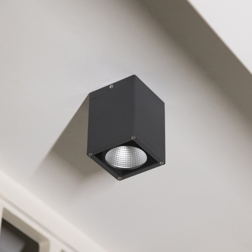 Потолочный фонарь Natural Concepts, Арт. NC-133474-DG фото 2 Потолочный фонарь Natural Concepts, Арт. NC-133474-DG фото 2