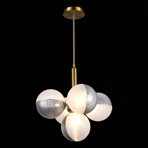 Подвесная люстра Evoluce Aveiro SLE1096-203-05 фото 5 Подвесная люстра Evoluce Aveiro SLE1096-203-05 фото 5