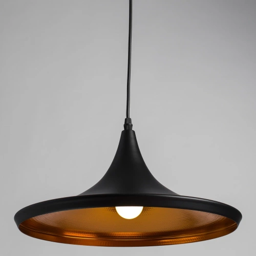 Подвесной светильник Arte Lamp CAPPELLO A3406SP-1BK фото 2 Подвесной светильник Arte Lamp CAPPELLO A3406SP-1BK фото 2