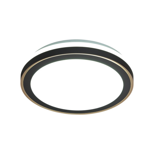 7620/DLN PALE SN 109 Светильник пластик/черный/медный LED 48Вт 3000/4000/6000K D390 IP43 CCT AKUNA фото 4 7620/DLN PALE SN 109 Светильник пластик/черный/медный LED 48Вт 3000/4000/6000K D390 IP43 CCT AKUNA фото 4