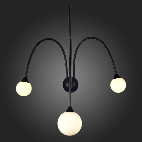 SL1187.401.03 Бра ST-Luce Черный/Белый G9 3*5W 4000K VIVE фото 7 SL1187.401.03 Бра ST-Luce Черный/Белый G9 3*5W 4000K VIVE фото 7