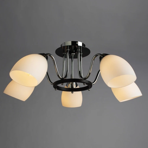 Потолочная люстра Arte Lamp FIORENTINO A7144PL-5BK фото 2 Потолочная люстра Arte Lamp FIORENTINO A7144PL-5BK фото 2