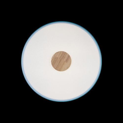 10003/24 Blue Потолочный светильник LOFT IT Axel фото 6