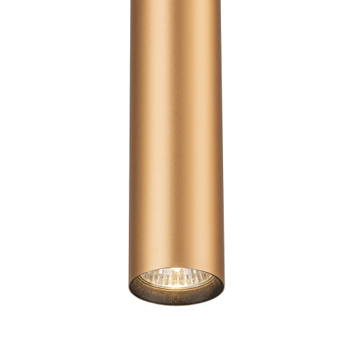 Трек Escada 20001TRP/01 GU10 латунь матовая фото 4 Трек Escada 20001TRP/01 GU10 латунь матовая фото 4