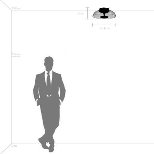 Потолочный светодиодный светильник Lightstar Celesta 809200 фото 4