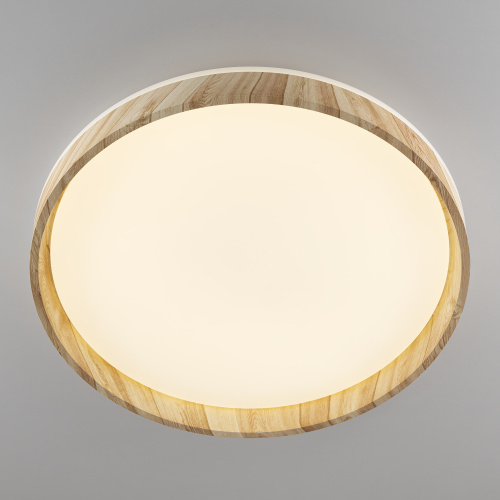Citilux ENZO CL753452G LED RGB Светильник с пультом Клён фото 4 Citilux ENZO CL753452G LED RGB Светильник с пультом Клён фото 4