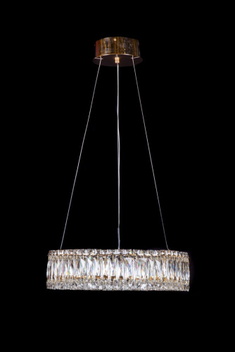 Люстра подвесная Vetto Gold FL1147-5P фото 5