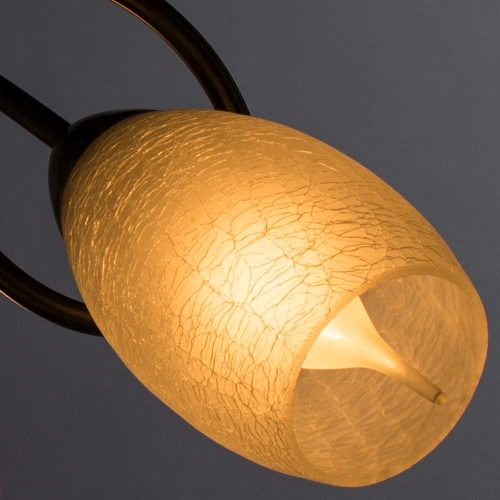 Потолочная люстра Arte Lamp MUTTI A8616PL-3AB фото 3 Потолочная люстра Arte Lamp MUTTI A8616PL-3AB фото 3