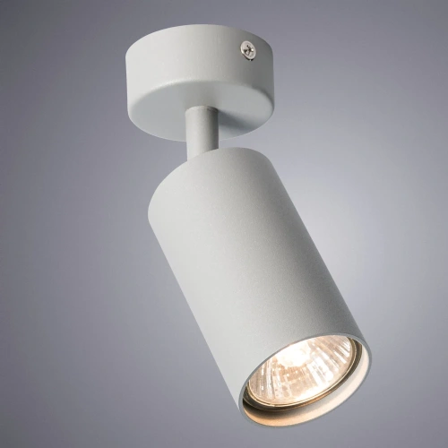 Спот Arte Lamp AQUARIUS A3216PL-1GY фото 2