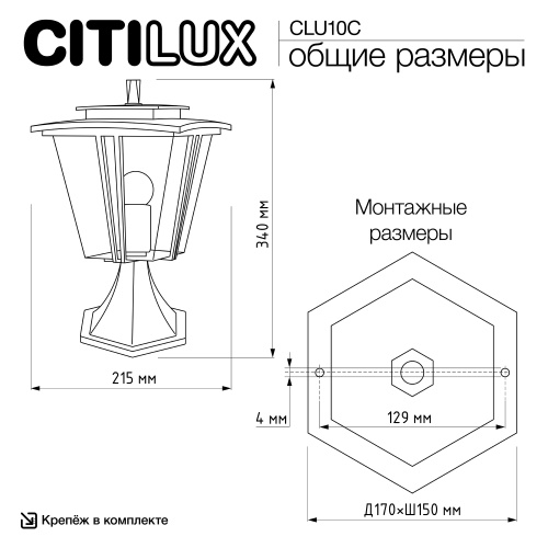 Citilux FORTS CLU10С Уличный парковый светильник фото 11 Citilux FORTS CLU10С Уличный парковый светильник фото 11