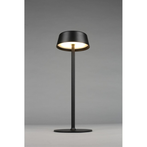 Настольная лампа OML-40504-01 фото 7