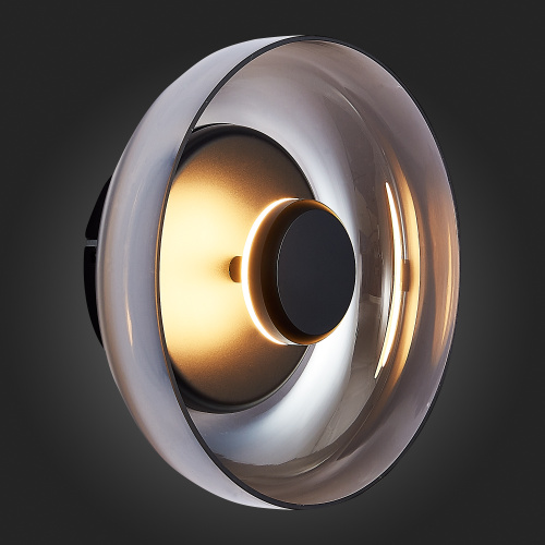 SL6002.401.01 Светильник настенный ST-Luce Черный/Дымчатый LED 1*7W 4000K LAZIO фото 5