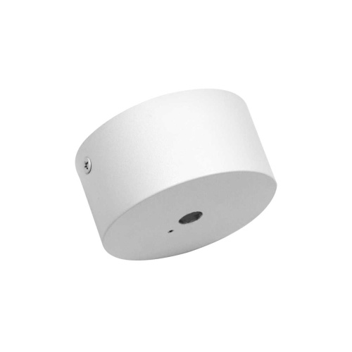 Потолочная чаша накладная Lightstar Alta/Canno Pro к 215ххх/304ххх 215016 фото 2