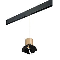 Комплект с трековым светильником Lightstar Rullo (213490+595887+202487) PRORP3490487