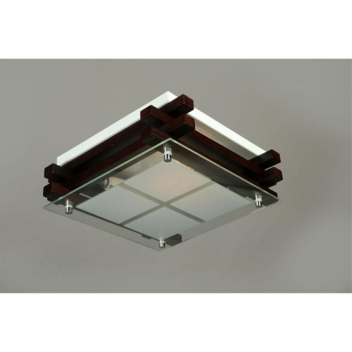 Светильник настенно-потолочный OML-40507-02 фото 2