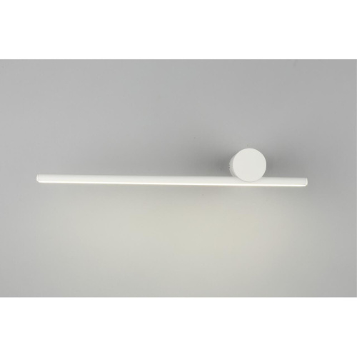 Светильник настенный (Бра) OML-10111-08 фото 6