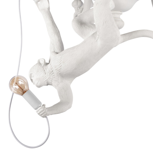 10314 White Подвесной светильник LOFT IT Monkey фото 4