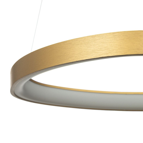 Подвесной светодиодный светильник Citilux Genka Smart CL756A042 фото 6