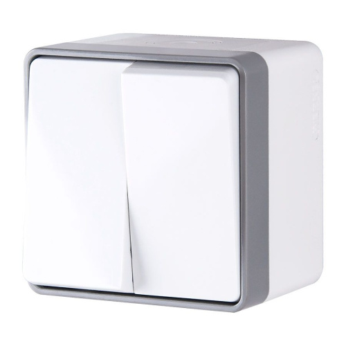 Выключатель двухклавишный влагозащищенный Gallant белый WL15-03-02 Выключатель двухклавишный влагозащищенный Gallant белый WL15-03-02