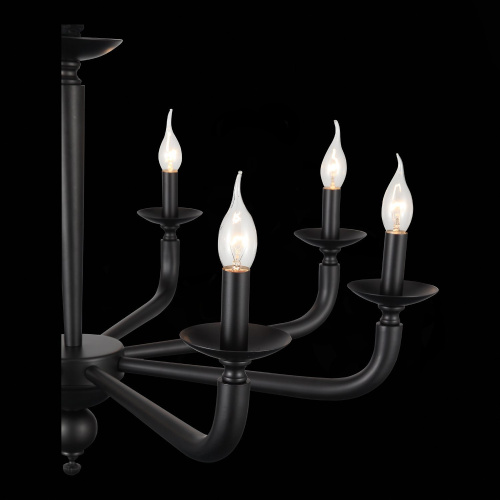 SL1114.403.08 Люстра подвесная ST-Luce Черный E14 8*40W FORTEZA фото 11 SL1114.403.08 Люстра подвесная ST-Luce Черный E14 8*40W FORTEZA фото 11