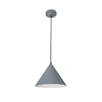 Подвесной светильник Arte Lamp LARK A7103SP-1GY