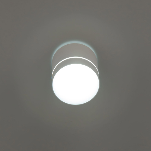 Citilux Борн CL745020N LED Светильник накладной Белый фото 4
