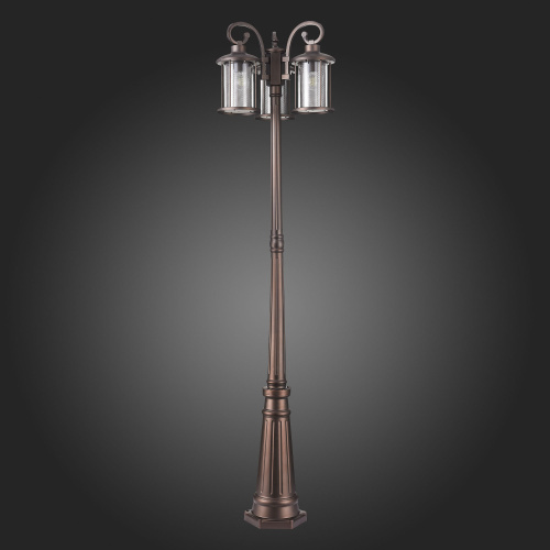 SL080.425.03 Светильник уличный наземный ST-Luce Темный кофе/Прозрачный, Темный кофе E27 3*100W LASTERO фото 6