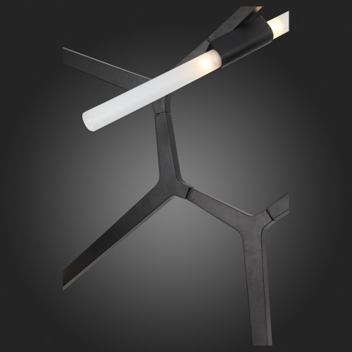 SL947.402.14 Люстра потолочная ST-Luce Черный/Белый G9 14*5W LACONICITA фото 3 SL947.402.14 Люстра потолочная ST-Luce Черный/Белый G9 14*5W LACONICITA фото 3