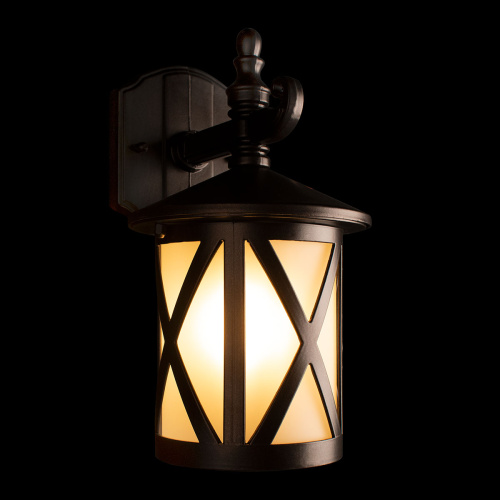 100016W Уличный настенный светильник LOFT IT Ravenna фото 5 100016W Уличный настенный светильник LOFT IT Ravenna фото 5