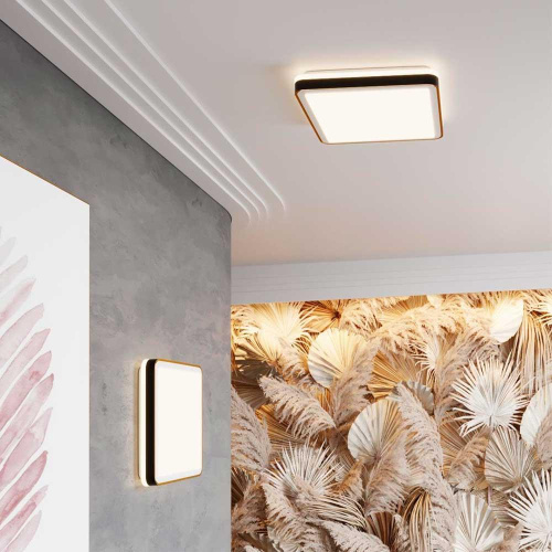 Настенно-потолочный светодиодный светильник Sonex Akuna 7621/DL фото 4