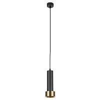Подвесной светильник Arte Lamp RAN A3147SP-1BK