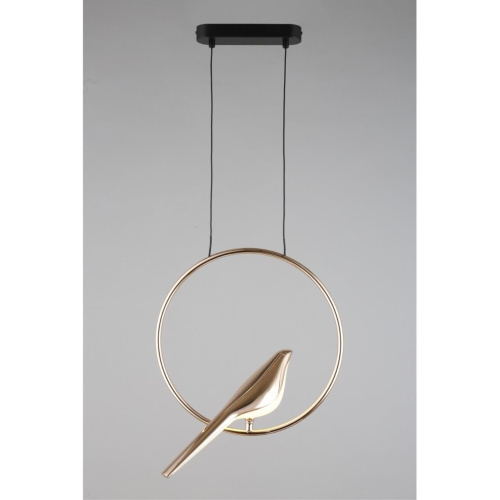 Светильник подвесной APL.822.06.10 фото 6 Светильник подвесной APL.822.06.10 фото 6