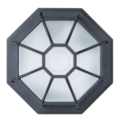 Уличный потолочный светильник Arte Lamp PEGASUS A3100PL-1BK фото 2 Уличный потолочный светильник Arte Lamp PEGASUS A3100PL-1BK фото 2
