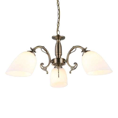 Люстра подвесная OML-56407-03