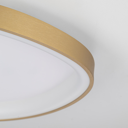 Citilux GENKA SMART CL756A142 LED Умная люстра фото 8