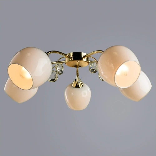 Потолочная люстра Arte Lamp MILLO A9549PL-5GO фото 2 Потолочная люстра Arte Lamp MILLO A9549PL-5GO фото 2