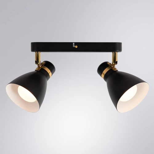 Спот Arte Lamp FAFNIR A5047PL-2BK фото 2