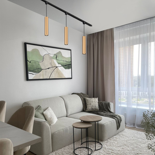 Трек Escada 20001TRP/01 GU10 латунь матовая фото 2 Трек Escada 20001TRP/01 GU10 латунь матовая фото 2