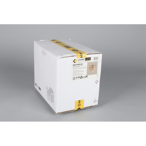 Светильник настенный (Бра) OML-67901-02 фото 8 Светильник настенный (Бра) OML-67901-02 фото 8