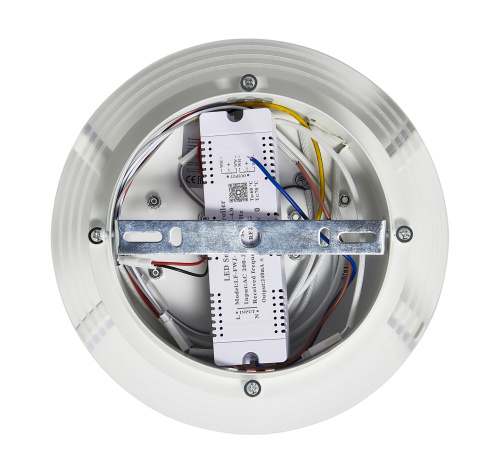 Потолочный светильник Freya FR6201CL-L150W фото 13 Потолочный светильник Freya FR6201CL-L150W фото 13