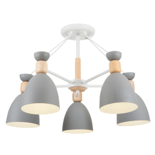 Люстра Freya FR5033CL-05W Люстра Freya FR5033CL-05W