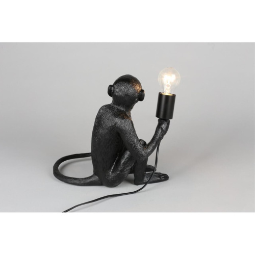 Настольная лампа APL.309.24.01 фото 11 Настольная лампа APL.309.24.01 фото 11