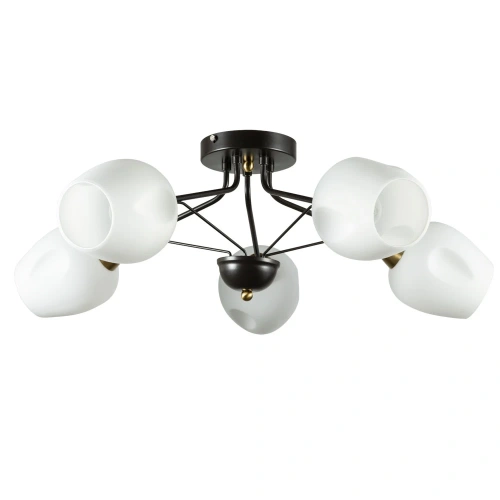 Потолочная люстра Arte Lamp BRIGHTON A2706PL-5CK Потолочная люстра Arte Lamp BRIGHTON A2706PL-5CK