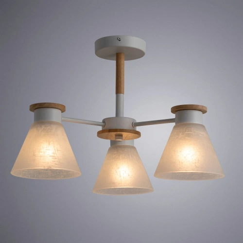 Потолочная люстра Arte Lamp TYLER A1031PL-3WH фото 2 Потолочная люстра Arte Lamp TYLER A1031PL-3WH фото 2