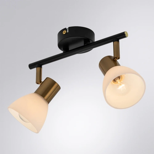 Спот Arte Lamp FALENA A3117PL-2BK фото 2