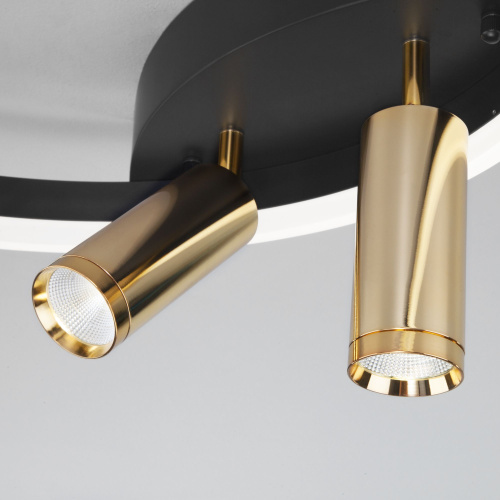 Умный потолочный светильник Eurosvet Luminari 90247/3 90247/3 черный/золото Smart фото 2 Умный потолочный светильник Eurosvet Luminari 90247/3 90247/3 черный/золото Smart фото 2