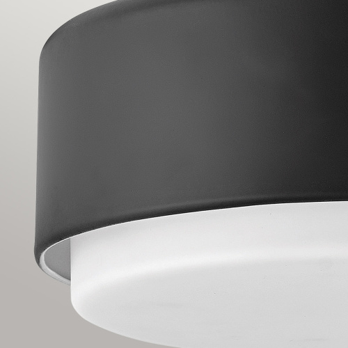 Потолочный светильник Hinkley, Арт. HK-CEDRIC-F-S-BK фото 2