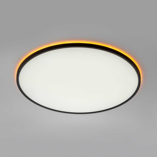 Потолочный светильник Citilux NORMA CL749601 фото 10